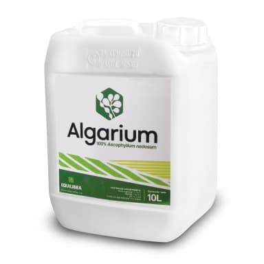Algarium x 20 L