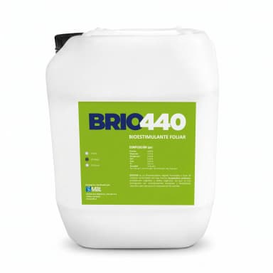 BRIO440 1 L