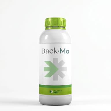 Back-mo Bidón