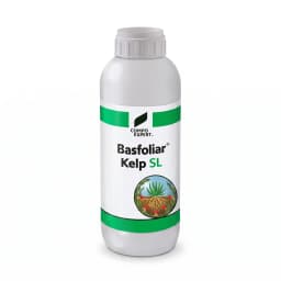 Basfoliar Kelp SL 5 L