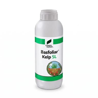 Basfoliar Kelp SL 5 L