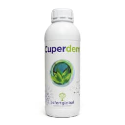 Cuperdem 1 L