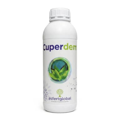Cuperdem 1 L