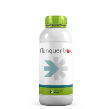 Flanquer Box x 5 L