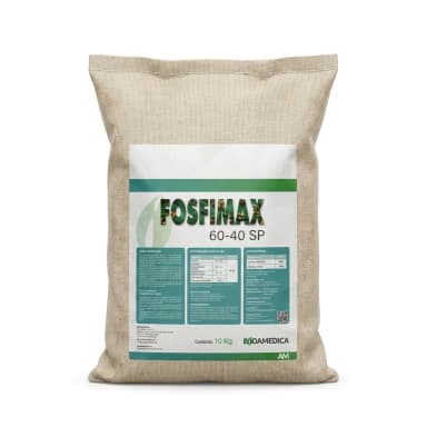 Fosfimax 60-40 x 10 Saco
