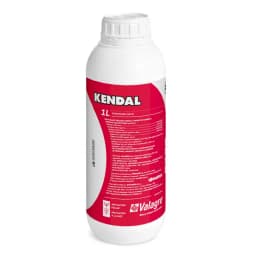 Kendal x 1 L
