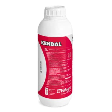 Kendal x 1 L