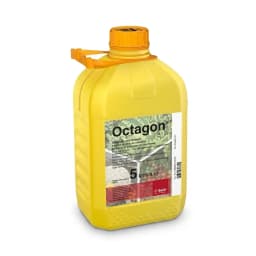 Octogon x 1 L