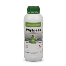 Phytness x 1 L