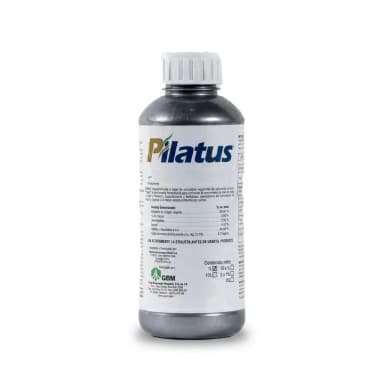 Pilatus Unidad
