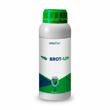 Transflo Brot Up x 1 L – Foliares