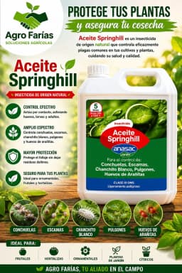 Aceite Springhill 5 L