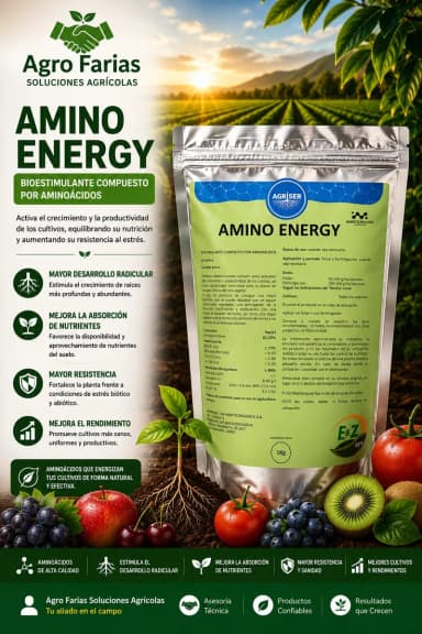 Amino Energy 1 kg