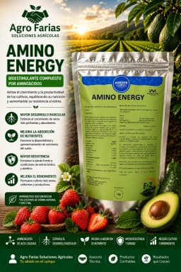 Previcure Energy 840 SL L