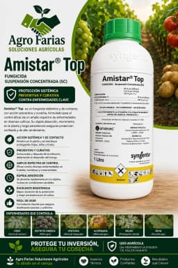 Amistar Top 1 L