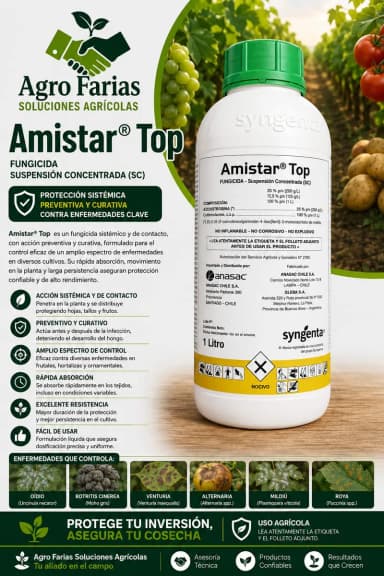 Amistar Top 1 L – Fungicidas