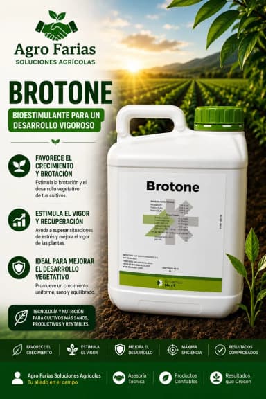 Brotone 5 L