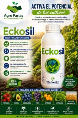 Eckosil 1 L