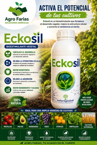 Eckosil 1 L