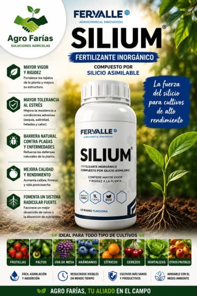 Silium 5 L