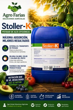 Stoller Boro 01 L