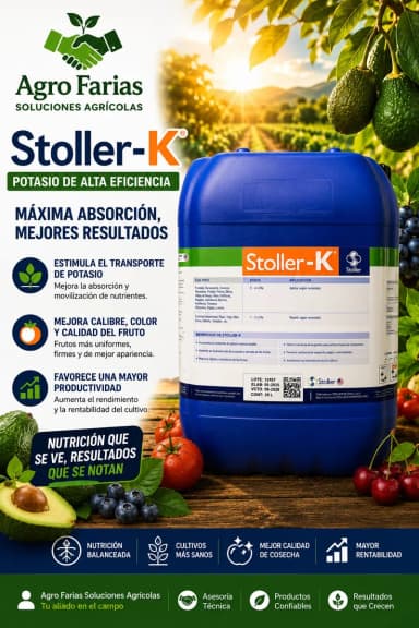 Stoller Boro 01 L