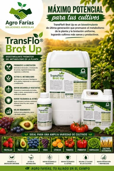 Transflo Brot Up 5 L – Foliares