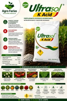 Ultrasol K Acid 25 kg