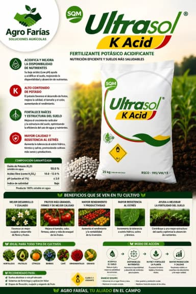 Ultrasol K Acid 25 kg – Fertilizantes