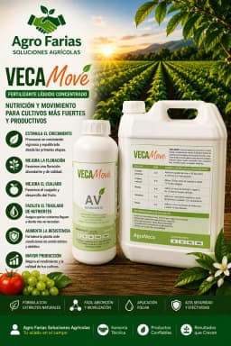 Veca Amin Sugar 1 L