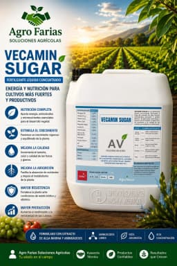 Veca Amin Sugar 5 L