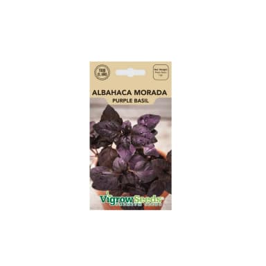 Semilla Albahaca Morada 1gr – Semillas y Jardín