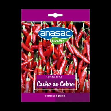 Aji Cacho Cabra – Semillas y Jardín