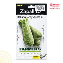 Semilla Zapallo Italiano Grey Zucchini