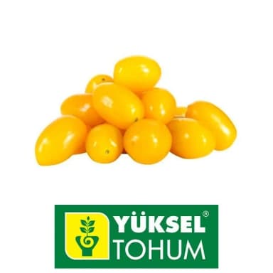 Semilla Tomate Cherry Amarillo – Semillas y Jardín