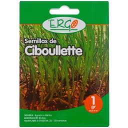 Semilla Ciboulette