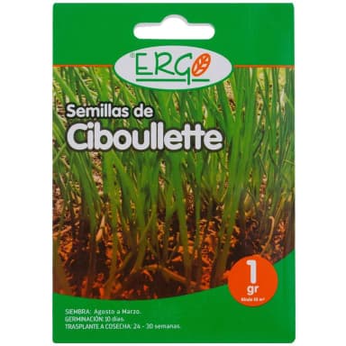 Semilla Ciboulette – Semillas y Jardín