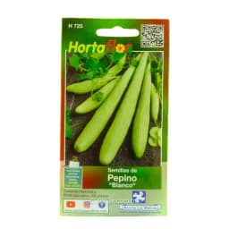 Pepino