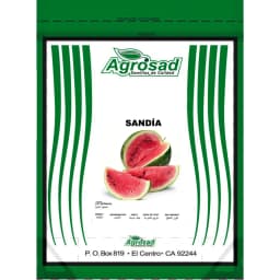 Semilla Sandia