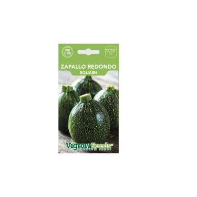 Semilla Zapallo Italiano Redondo 1gr – Semillas y Jardín