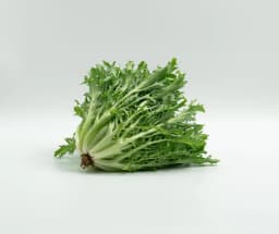 Lechuga Escarola