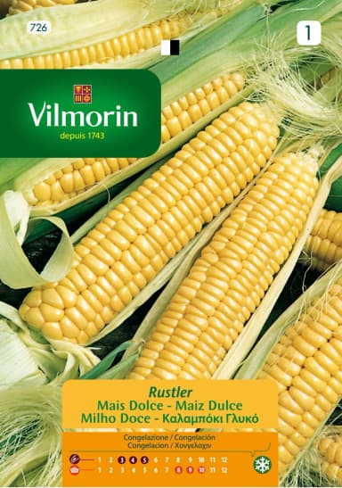 Semilla Maiz Dulce 1g – Semillas y Jardín