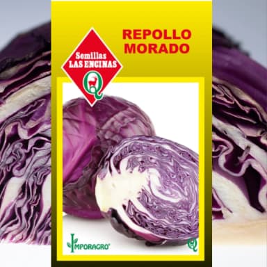 Semilla Repollo Morado 1g – Semillas y Jardín