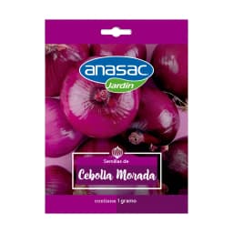 Semilla Cebolla Morada Guarda 1g