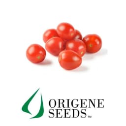 Semilla Tomate Coctail Cherry Rojo