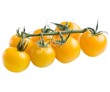 Tomate Amarillo – Semillas y Jardín