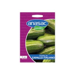 Semilla Zapallo Italiano 5 Gr