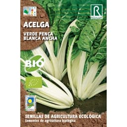 Semilla Acelga Verde