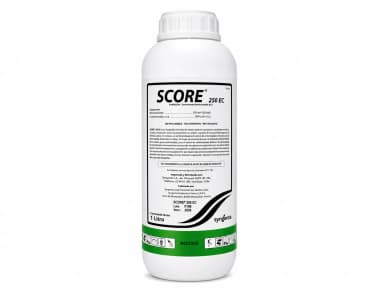 Score 250 EC x 1 L – Fungicidas